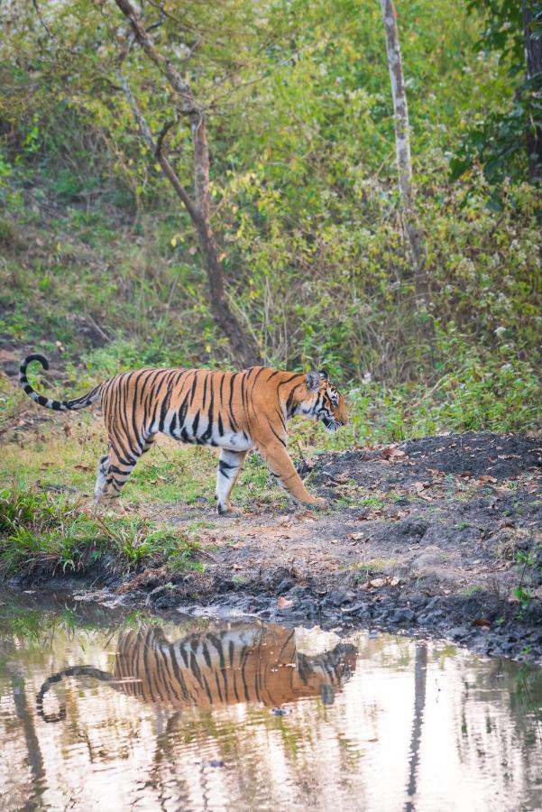 Kaav Safari Lodge, Kabini Begūr Buitenkant foto