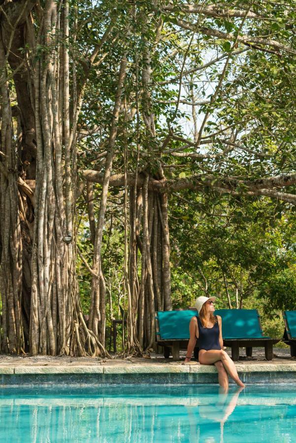 Kaav Safari Lodge, Kabini Begūr Buitenkant foto