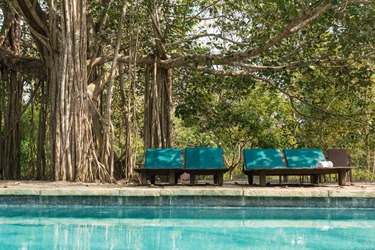 Kaav Safari Lodge, Kabini Begūr Buitenkant foto