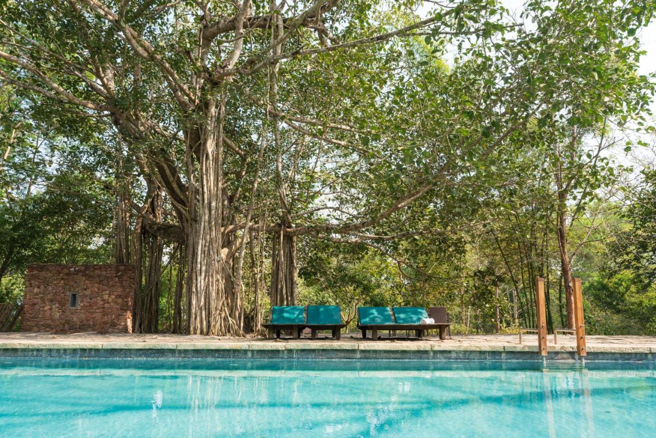 Kaav Safari Lodge, Kabini Begūr Buitenkant foto