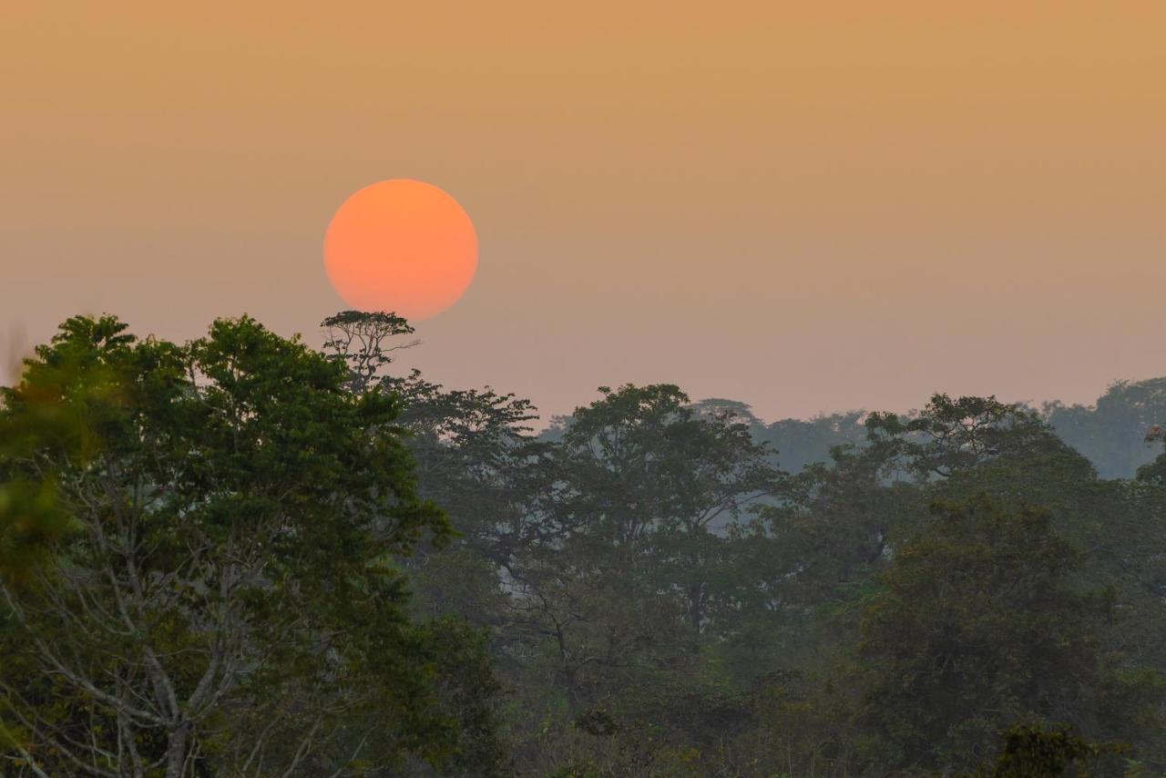Kaav Safari Lodge, Kabini Begūr Buitenkant foto